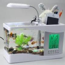 Hồ cá mini để bàn Free ship đồ chơi phong thủy cho bạn không gian thư giãn trong căn phòng của mình