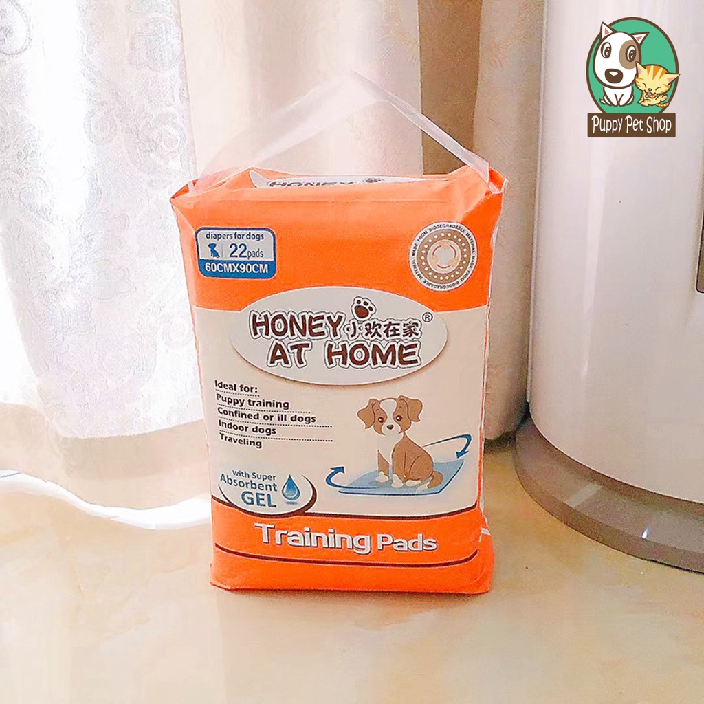Miếng Lót Vệ Sinh Cho Cún Honey At Home
