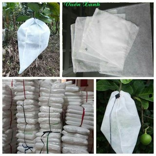 Bán Com bo 1000 túi bọc ổi cho khách kt 16x20cm hàng chuẩn, nhập khẩu và phân phối.