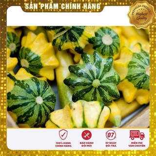 Bộ gói hạt giống Bí đĩa bay
