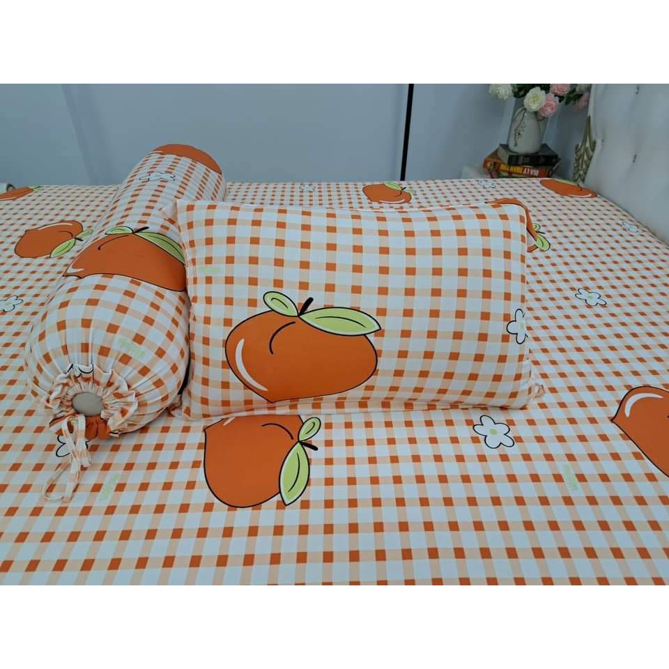 Bộ drap thun vừa rẻ vừa đẹp, nhiều mẫu xinh