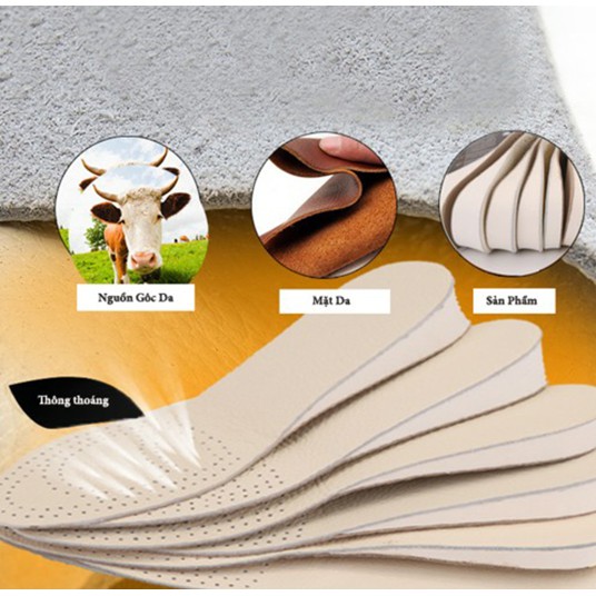 Lót giày tăng chiều cao Da Bò thật 1,5cm