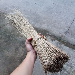 Cọng lá dừa trang trí thủ công | Xưởng gáo CoCoDecor