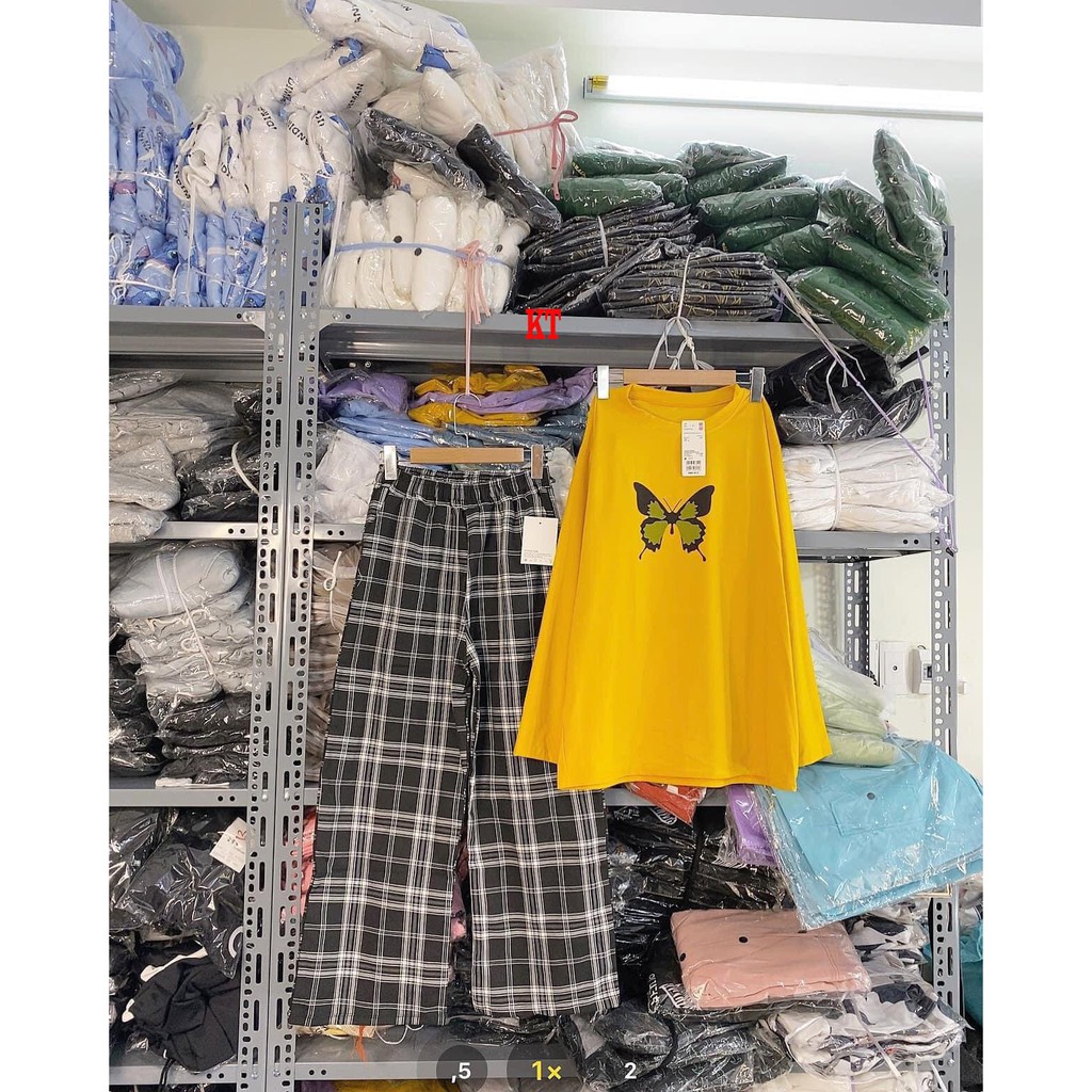 sét áo bướm dài tay + quần kẻ ống xuông