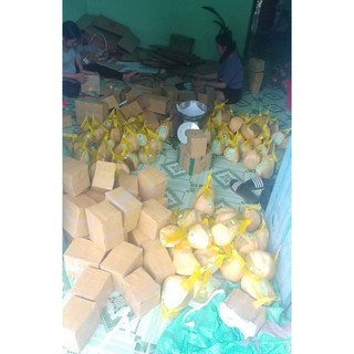 Dừa sáp đặc biệt