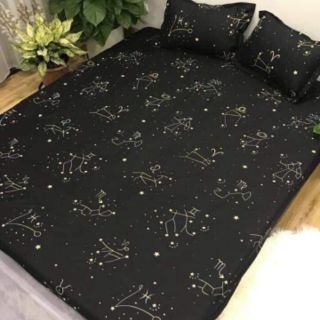 Set ga gối cotton poly