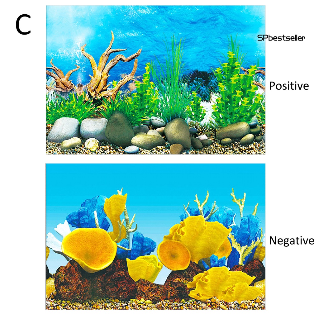 Miếng Dán Trang Trí Bể Cá Cảnh Độc Đáo