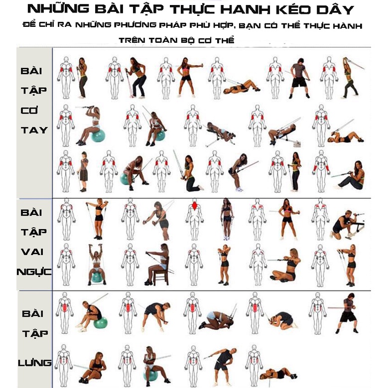 Dây ngũ sắc kháng lực tập Gym - thể hình