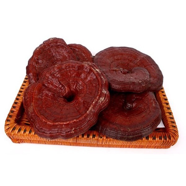 Nấm linh chi đỏ Hộp 1 kg hàn quốc[ HÀNG MỚI VỀ]