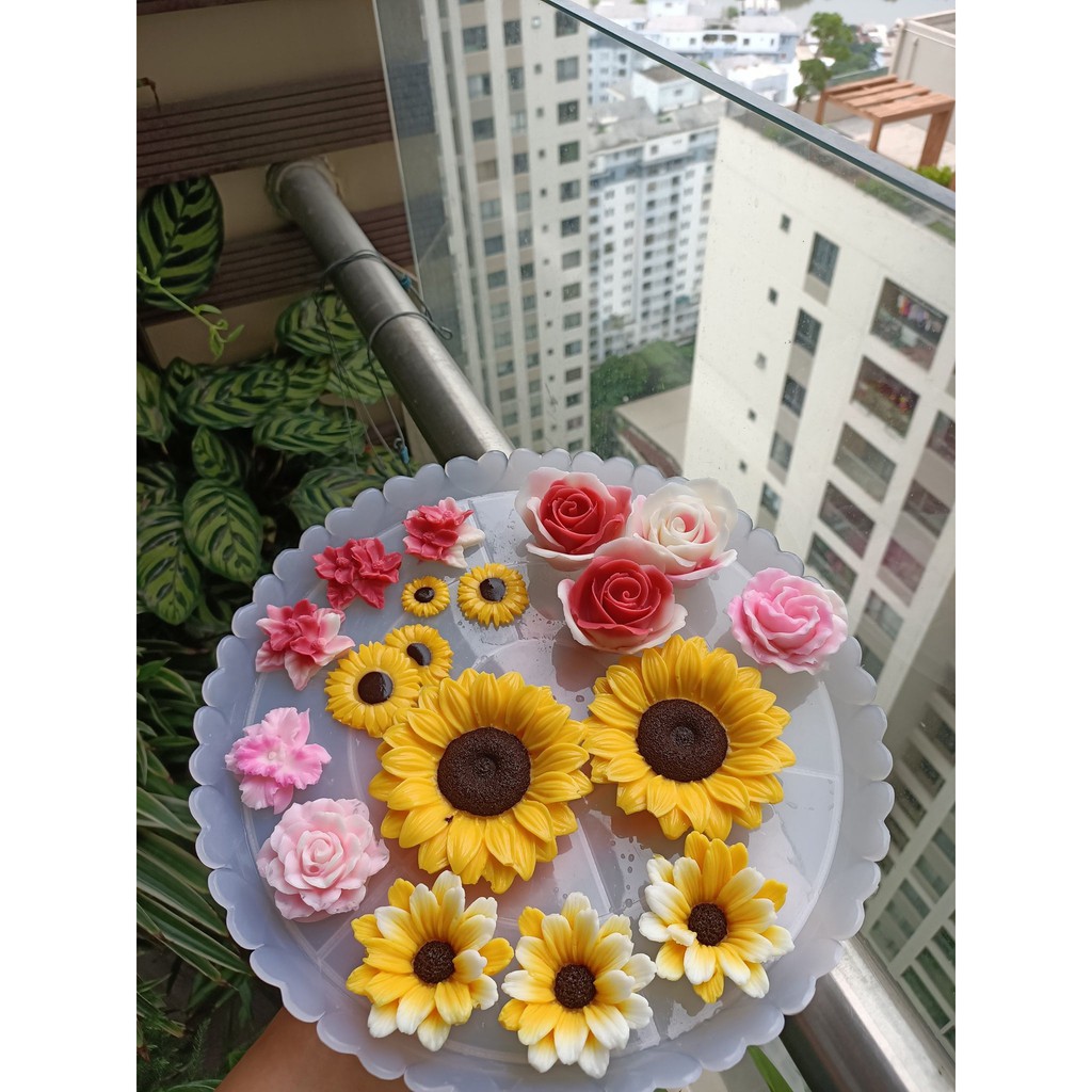 Dĩa Nhựa lót rau câu/ 10 cái