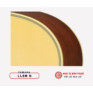 Đàn Guitar Acoustic Yamaha LL6M