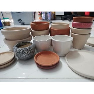 Chậu đất nung trồng sen đá, xương rồng