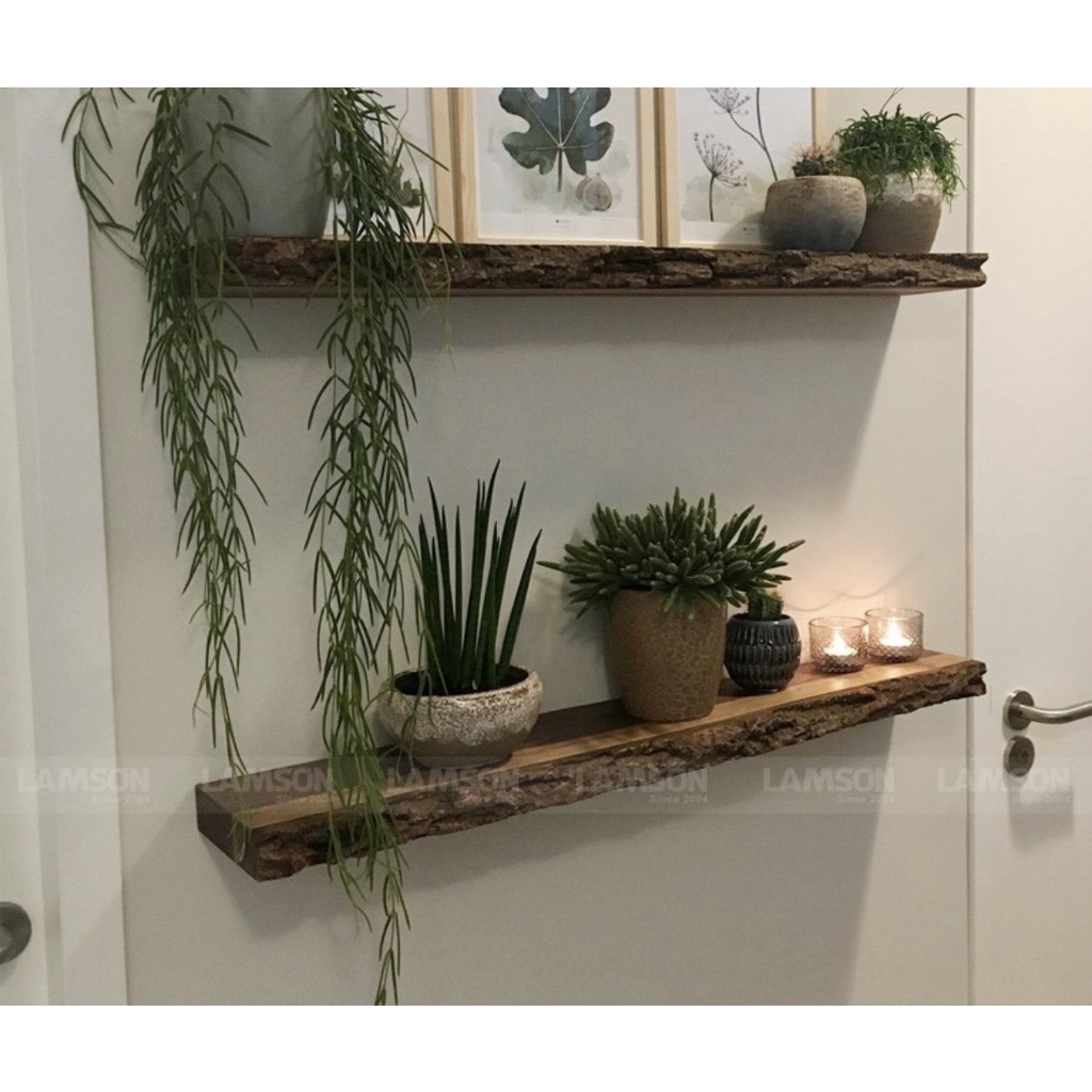 Kệ âm tường cạnh gỗ vỏ tự nhiên