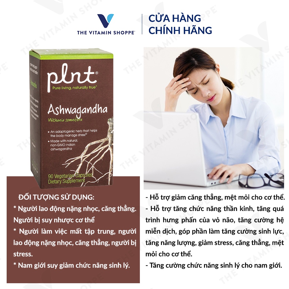 Viên uống sâm ấn độ giảm căng thẳng cải thiện trí nhớ PLNT Ashwagandha 90 viên