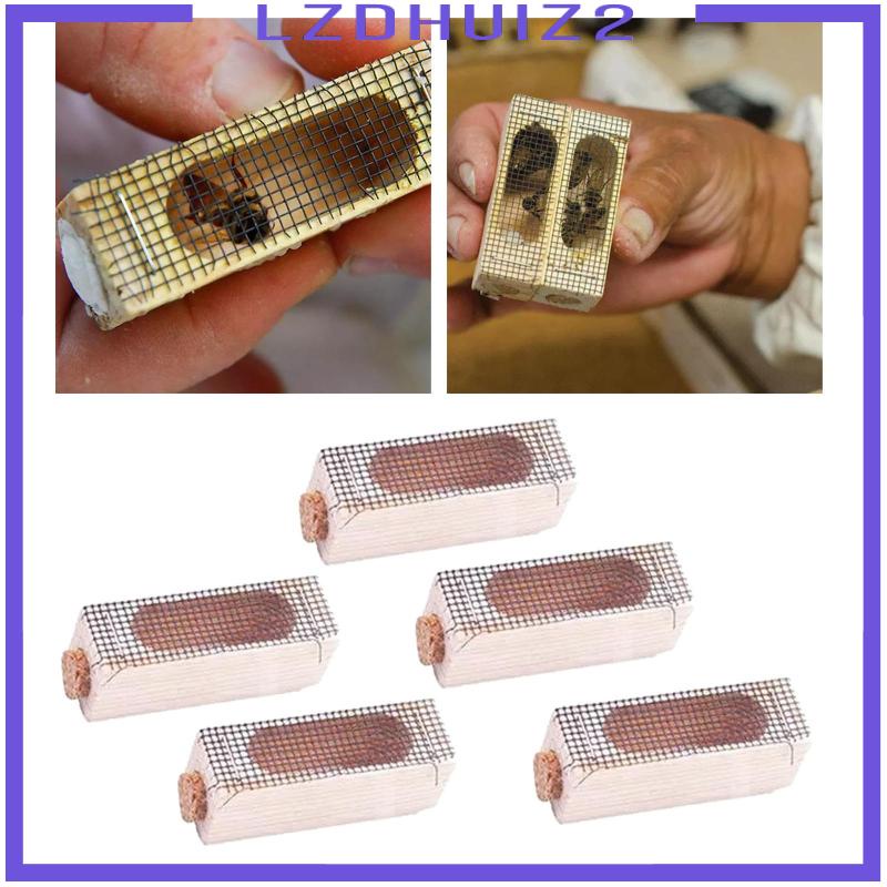 Set 5 Lồng Bắt Ong Chúa Chuyên Dụng Cho Nuôi Ong