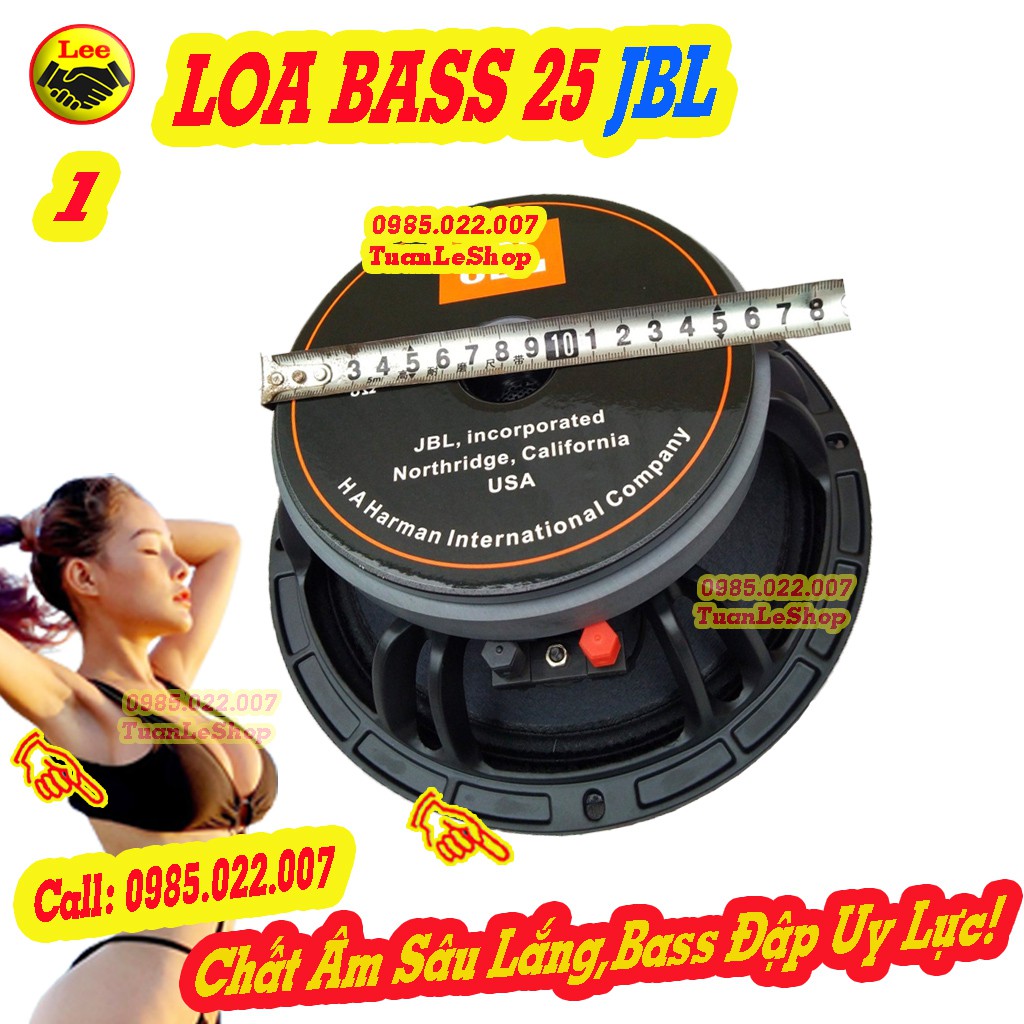 BASS 2.5 TẤC - LOA KARAOKE  JBL TỪ 170 -GIÁ 02 LOA BASS 25 JB L