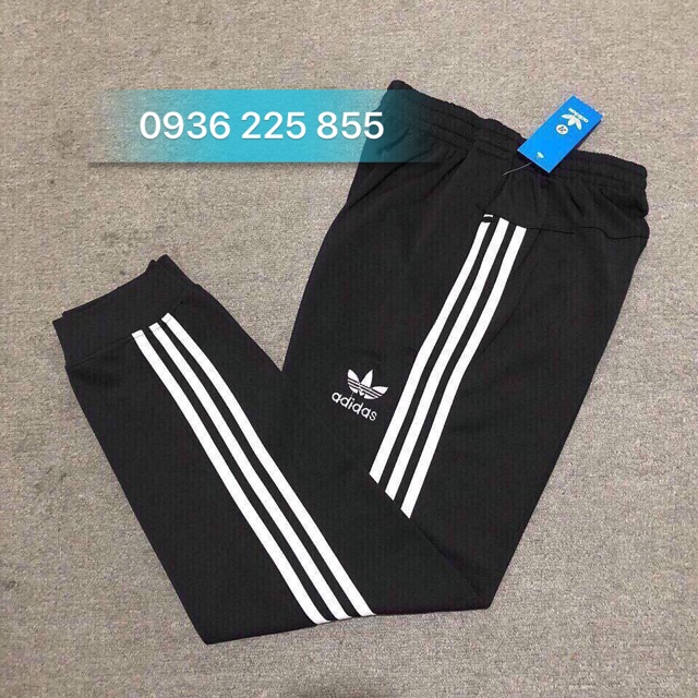 Quần Jogger Triple Line - Full tem tag (Bo Gấu- QN02)