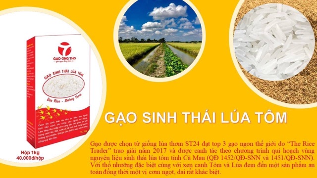 5kg Gạo Én xuân (gạo Ông Thọ) tại Hà Nội