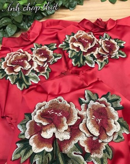 Đầm phi lụa