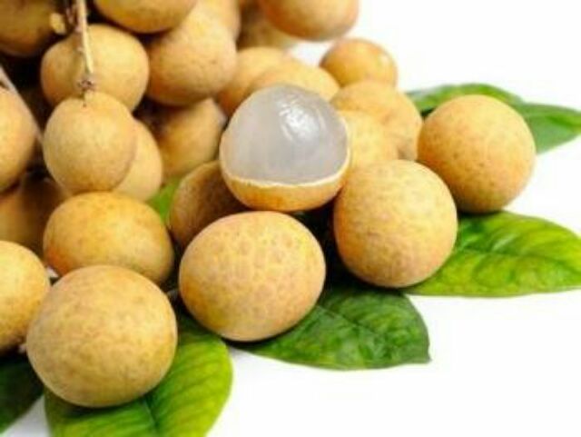 ( MIỄN SHIP Ở HCM) 1KG Long nhãn ngon, rẻ ( siêu rẻ) | BigBuy360 - bigbuy360.vn