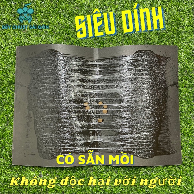 Keo Dính Chuột [Có Sẵn Mồi]