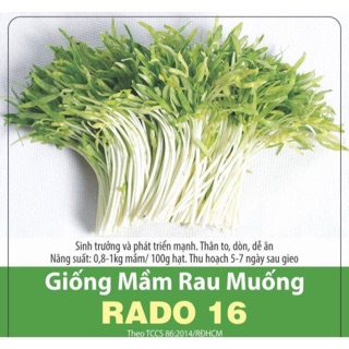 1kg Mầm rau muống 16