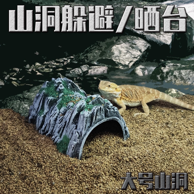 Hang Trú Cho Bò Sát