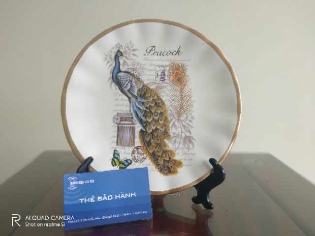 Combo bình hoa+ đĩa trang trí nội thất