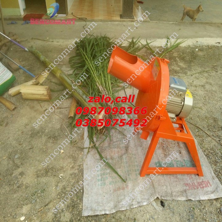 Máy Xay Chuối Mịn Chăn Nuôi Gà ,Vịt - Xay Cỏ Voi Chăn Nuôi Trâu,Bò,Dê