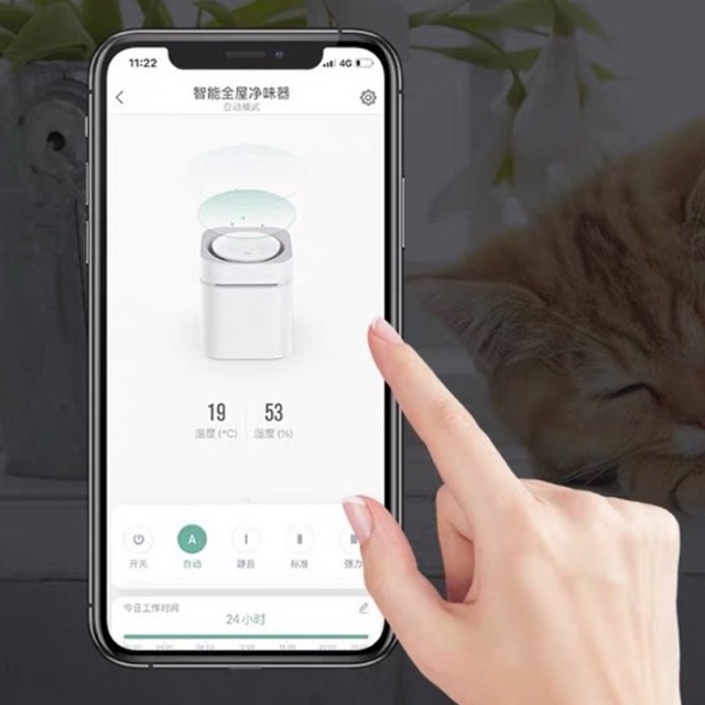 Máy lọc không khí cho chó mèo Petkit air magic cube khử mùi vệ sinh thú cưng Con Mèo Xiêm