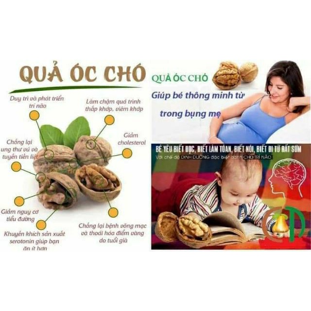 ÓC CHÓ VỎ VÀNG 500g