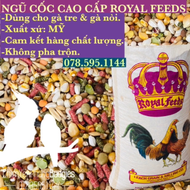 2kg ngũ cốc gà đá Royal Feeds cho gà đá (gà tre, gà nòi, gà kiểng...) chiếc lẻ từ bao 22,8kg