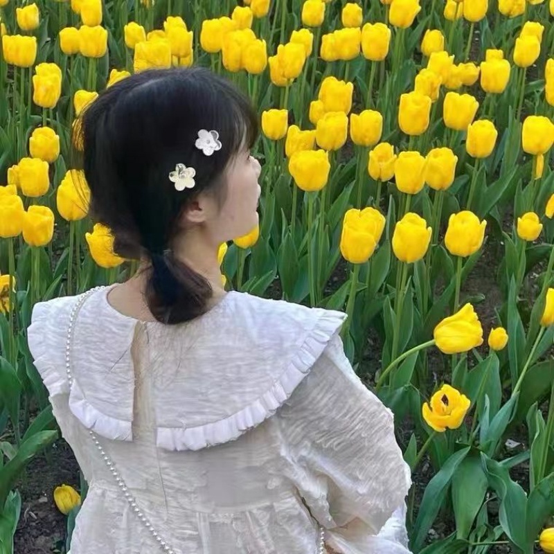 Phong cách hàn quốc hoa bạc kẹp tóc nữ dễ thương