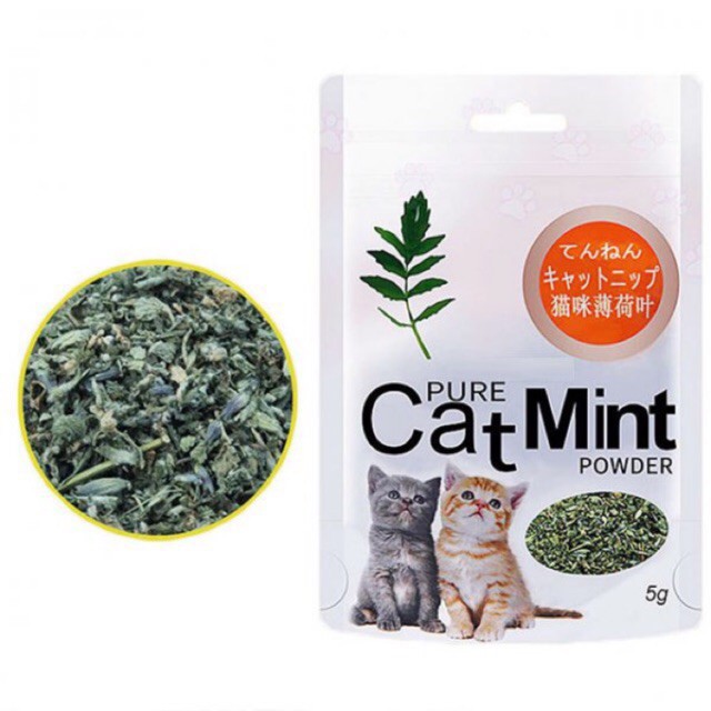 Catnip Hahale gói 5g cỏ cho mèo