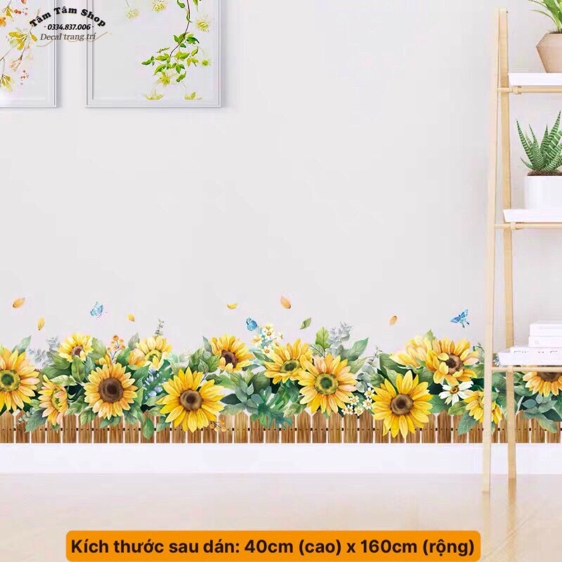Decal dán chân tường hoa hướng dương to, sẵn keo dán