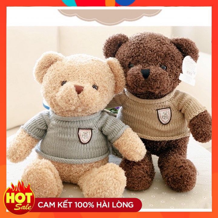 Gấu Teddy 💝FREESHIP💝 Gấu Bông Teddy Head Tale Hút Chân Không Cao Cấp - Thú Bông Hàng Nhập