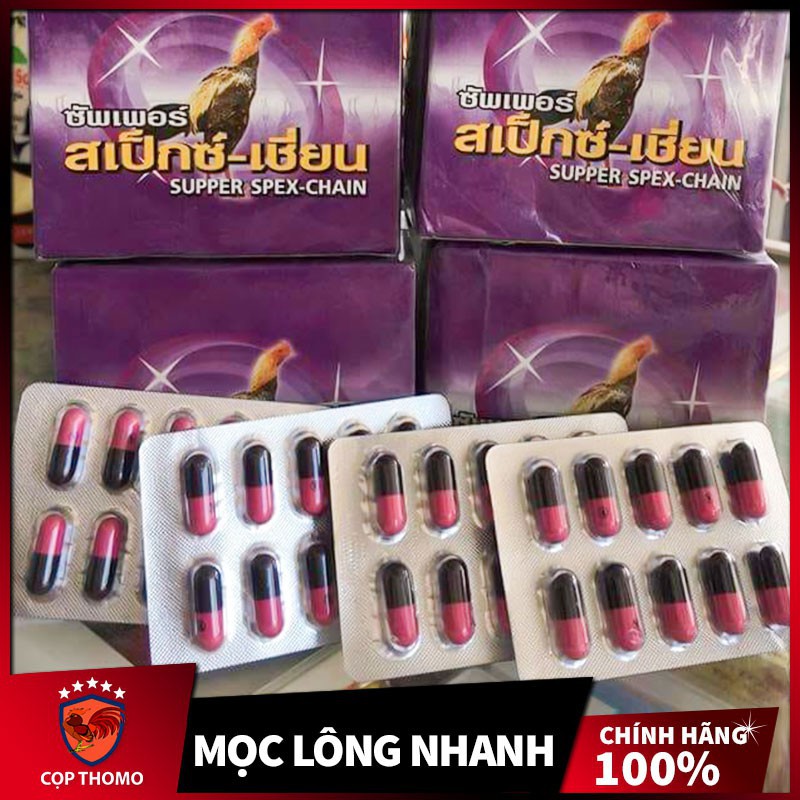 [VIP bồ 999] Thuốc kích thích mọc lông cho gà Super Spex Chain , ra lông nhanh , bóng mượt thuốc tăng lực gà đá