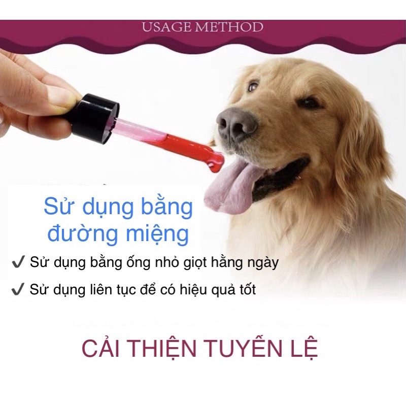 Siro Uống Chống Chảy Nước Mắt Ở Chó Mèo Lacrimal Gland Fluid Eyes 20ml