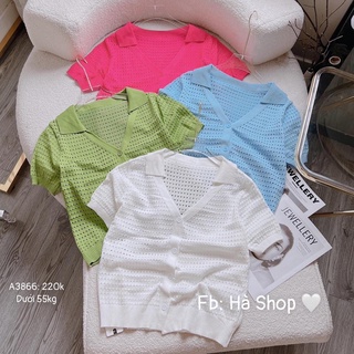Áo lưới cổ V 4 màu cho nữ