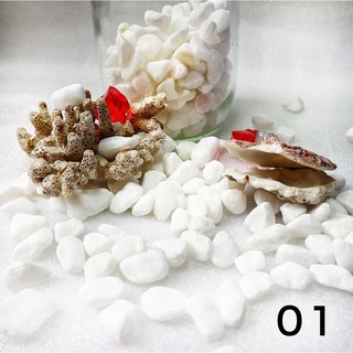 Sỏi trang trí bể cá