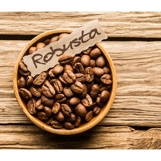 CÀ PHÊ HẠT ROBUSTA HOMELAND VIỆT NAM