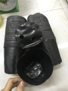 Bầu ươm cây 18*16 (147 cái/kg)