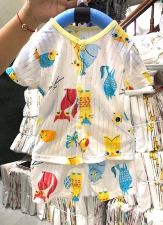 5 bộ cotton giấy
