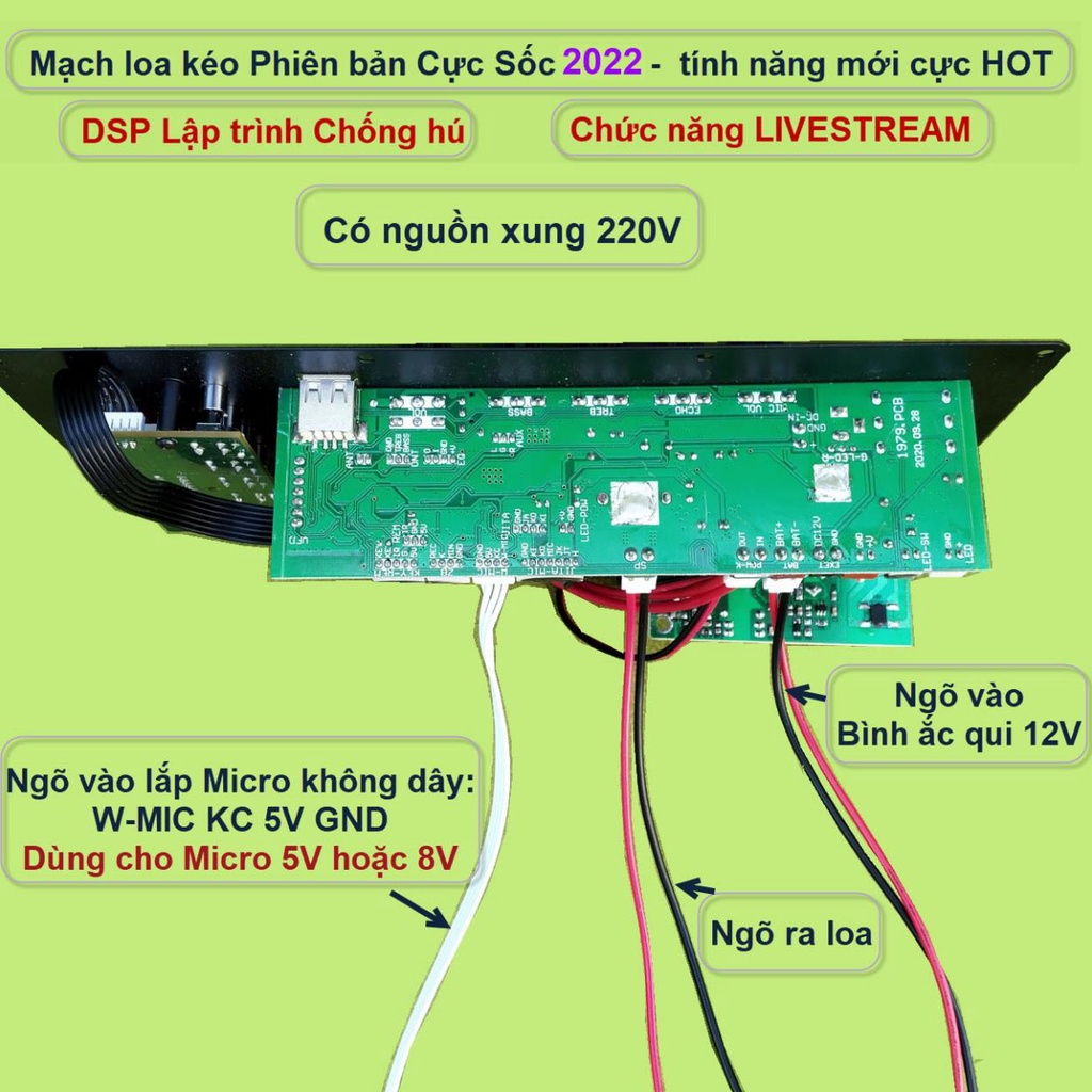 Mạch loa kéo LIVESTREAM DSP lập trình chống hú IC CS8676 công suất 60W – 120W có nguồn xung - guitar điện