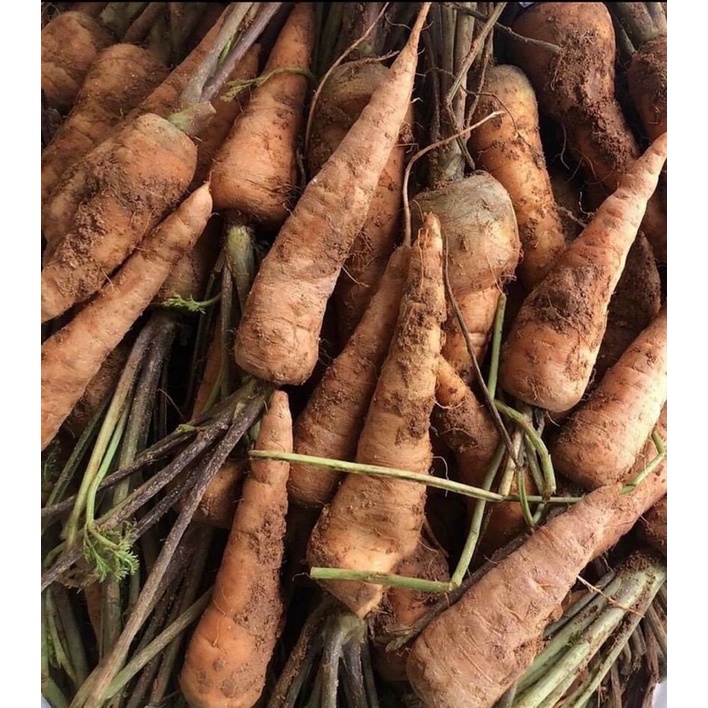 cà rốt 500g