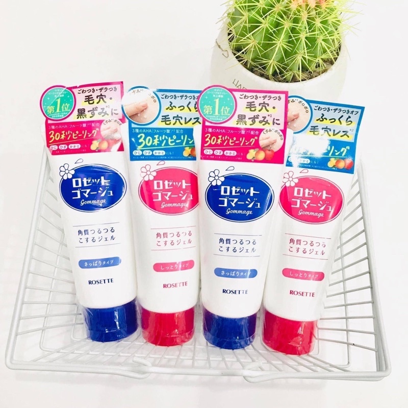 𝐓𝐀̂̉𝐘 𝐃𝐀 𝐂𝐇𝐄̂́𝐓 𝐑𝐎𝐒𝐄𝐓𝐓𝐄 𝐍𝐇𝐀̣̂𝐓