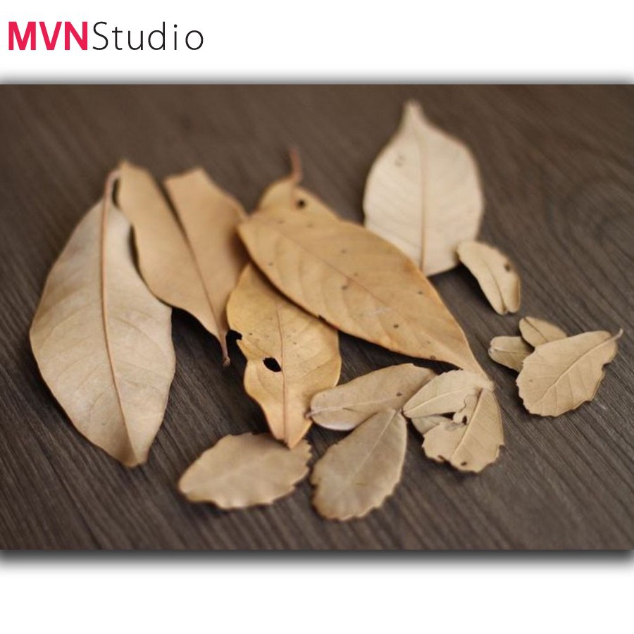 MVN Studio - Set đạo cụ decor chụp ảnh sản phẩm vintage mang hương vị rừng thông Đà Lạt
