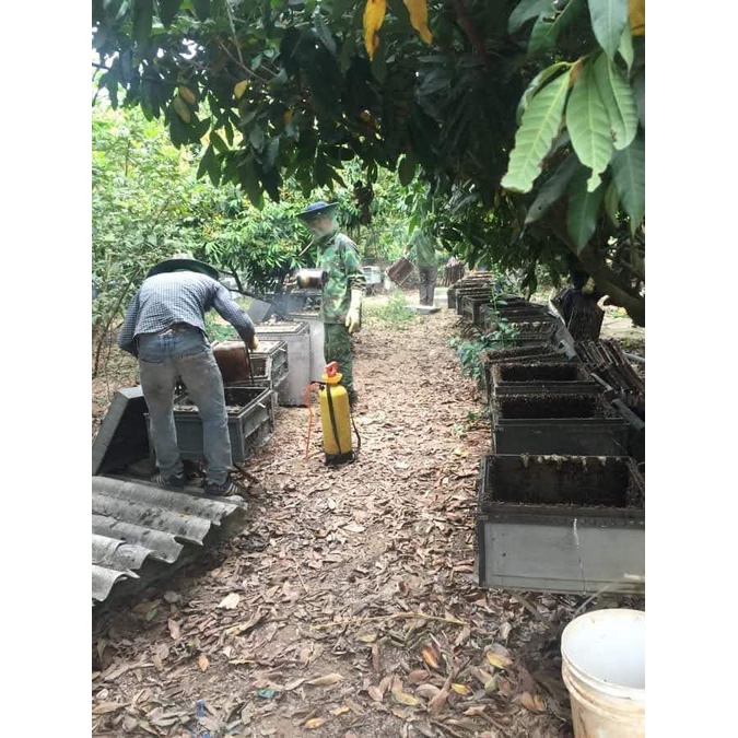 Mật Ong Nguyên Chất Hoa Rừng Keo 1 Lít