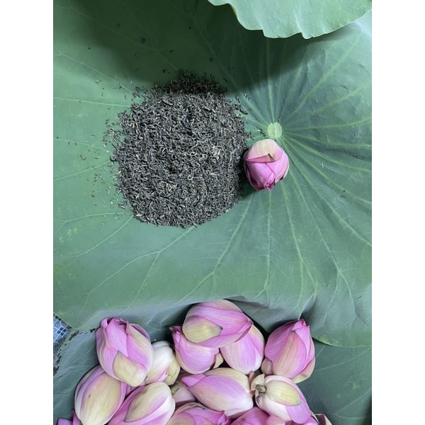 Trà sen Tây Hồ ướp nguyên bông
