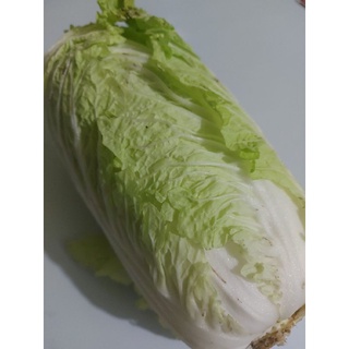 Giao Hỏa tốc HCM cải thảo Đà Lạt 0.9-1.2kg